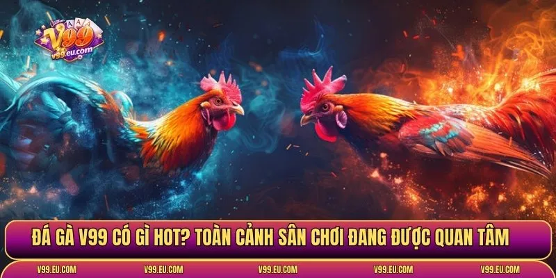 Đá gà V99 có gì hot? Toàn cảnh sân chơi đang được quan tâm
